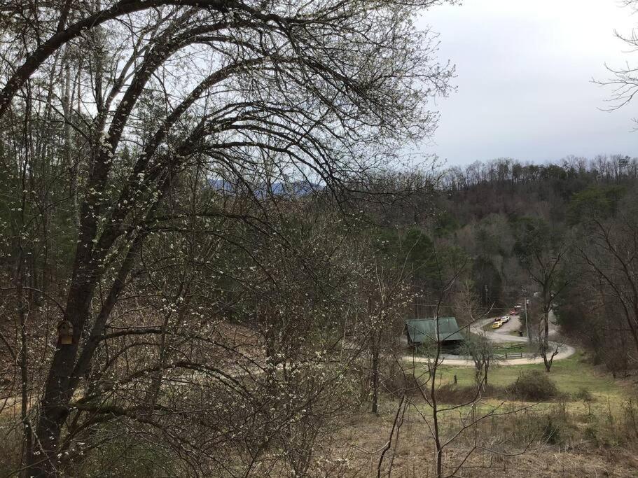 Villa Dollywood-Brand New Dancing Bear 4 Pigeon Forge Exterior foto